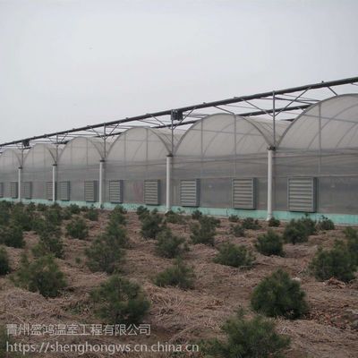 蔬菜花卉水果種植基地大棚建設連棟溫室大棚骨架工程施工現(xiàn)場盛鴻溫室